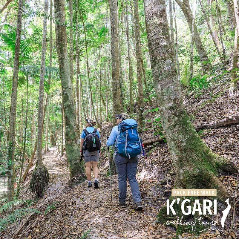 Pack Free Rainforest Hike